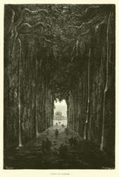 Gorge of Tunkini